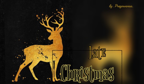 •|Late Christmas|• one shoot