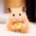 .cute.cat.