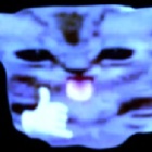 CZWNL