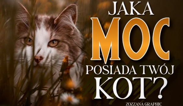 Jaką moc posiada Twój kot?