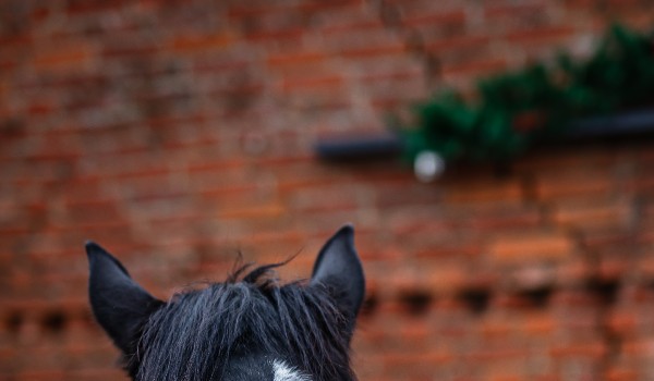 FAMILIADA – DRUŻYNY!