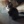 Chat_Blanc201526