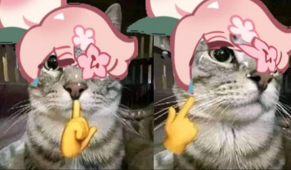 Zapisy do opowiadania