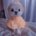 shining_starr