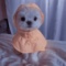 shining_starr