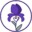 Skn.Iris