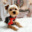 StitchAndAngel