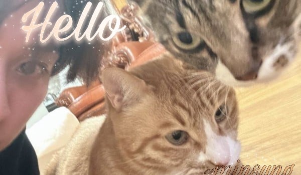 hello|minsung    ★24★