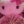 B4ddie__