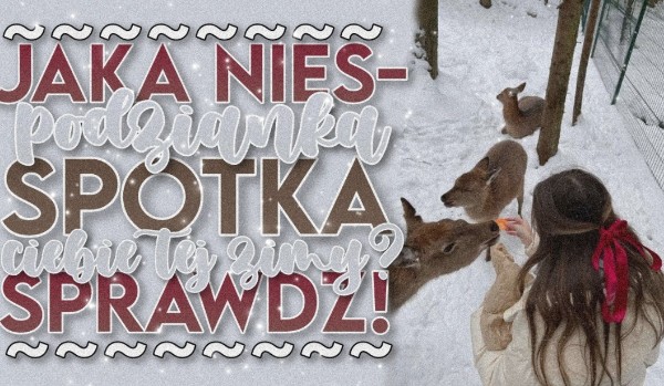 Jaka niespodzianka spotka Ciebie tej zimy? Sprawdź!