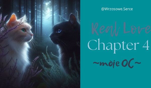 Real Love | ~moje OC~ Chapter 4