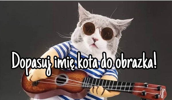 Dopasuj imię kota do obrazka!