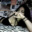 Nashwa