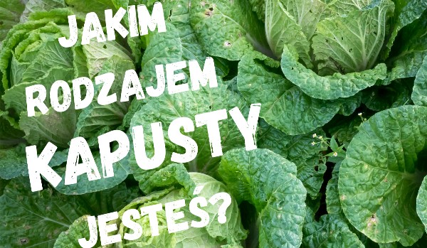 Jakim rodzajem KAPUSTY jesteś?