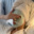 Clean_girl_ktora_kocha_fcb
