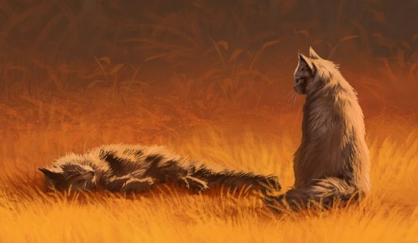 30 dni z Wojownikami! Chapter 17