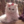 cute-cat_