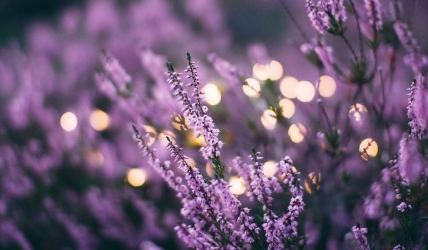 Getaway – Rybki – [20]