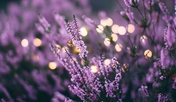 Getaway – Port – [21]