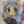 Fan-mlp