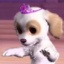 LadyDog