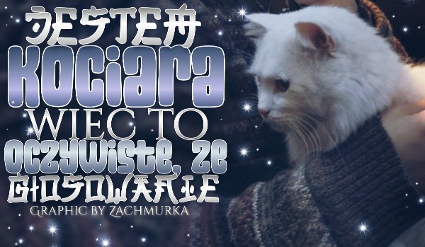 Jestem kociarą, więc to oczywiste, że… Głosowanie!