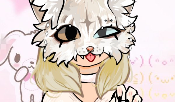 Specjały na 200 obs