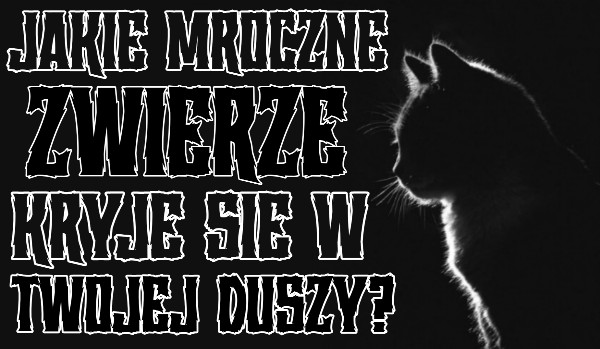 Jakie mroczne zwierzę kryje się w Twojej duszy?