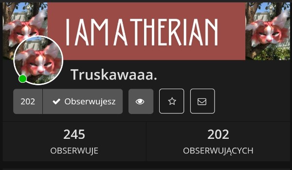 Ocenianie profilu ,,@Truskawaaa. „