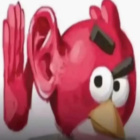 bosniackinacjonalista