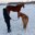 a_equinee