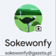 sokewonfy