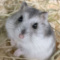 Pets_lover_Blanka368