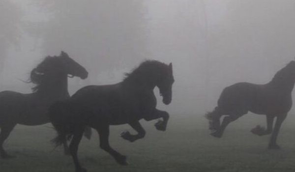 Why are there people in the world?