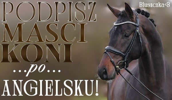 Podpisz maści koni po angielsku!
