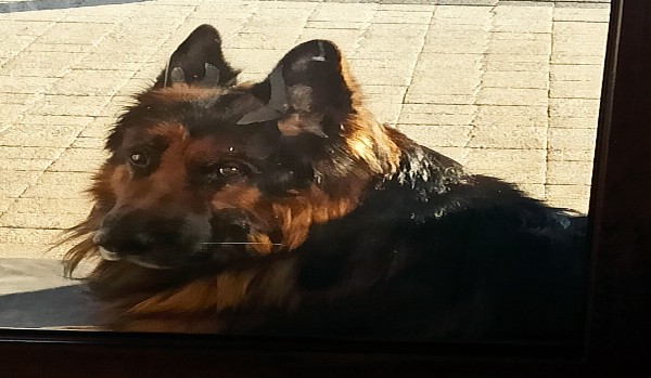 Speciał! Z okazji 150 serc