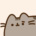 mkitty