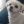 Fifi11759