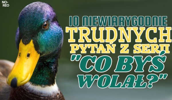 10 NIEWIARYGODNIE trudnych pytań z serii „Co byś wolał?”