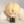 zimnecyce.