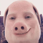 faisff