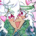 kovham_lilie