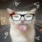 -Wisnia._.