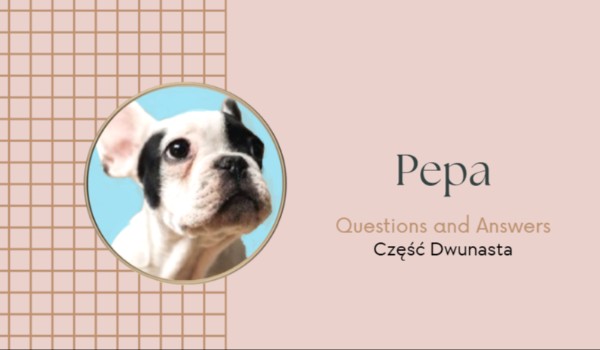 Pepa – QnA • Część Dwunasta
