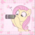 FanClub_MyLittlePony
