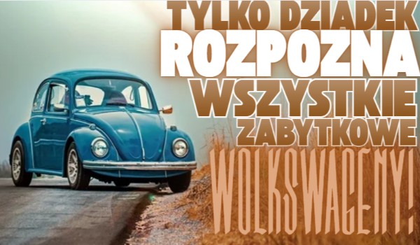 Tylko dziadek rozpozna wszystkie zabytkowe volkswageny!