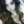 piwo.giselle