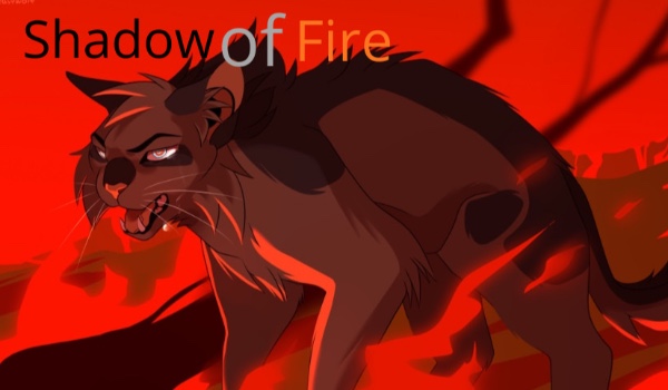Shadow Of Fire {rozdział 1}