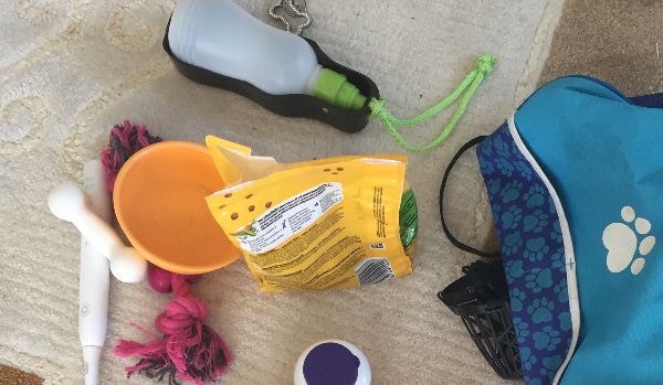 Ułożysz psie akcesoria?