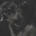 Foxy_official